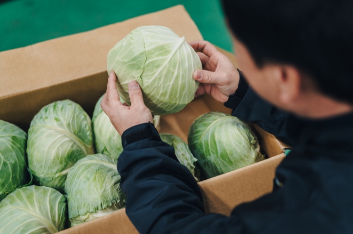 食品事業